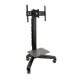 ERGOTRON NF Mobile Media Centre LD Cart