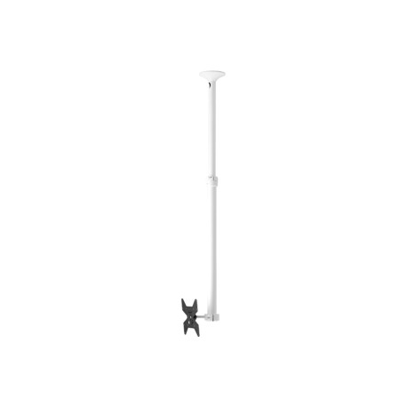 ATDEC CEILING MOUNT MEDIUM DISPLAY