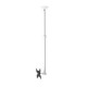 ATDEC CEILING MOUNT MEDIUM DISPLAY